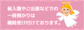 転入園やご出産などでの一時預かりは随時受け付けております。